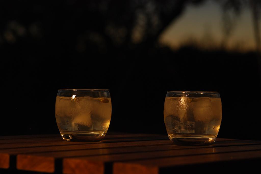 Bubulcus And Bolotas - Off Grid Nature Holiday Home Vimieiro  Dış mekan fotoğraf